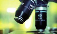Microsc